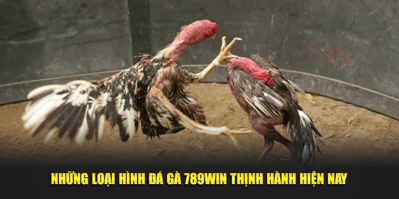 Những loại hình đá gà 789Win thịnh hành hiện nay