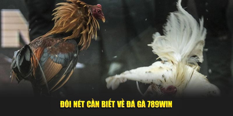 Đôi nét cần biết về đá gà 789Win